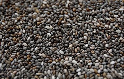 chia seeds-a99cb834e44c95806c90aacaabd9aa9f.jpg